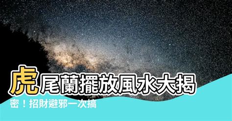 豹 風水|【豹 風水】揭密豹風水：居家擺放豹有何玄機？